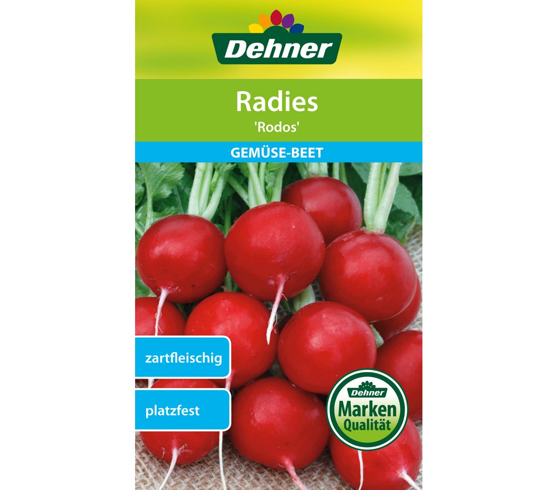 dehner-rodos-radies-samen-4-g-zart-platzfest image 1