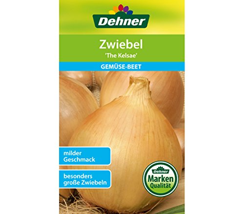 dehner-zwiebel-the-kelsae-saatgut-5er-pack-riesenwiebel image 3