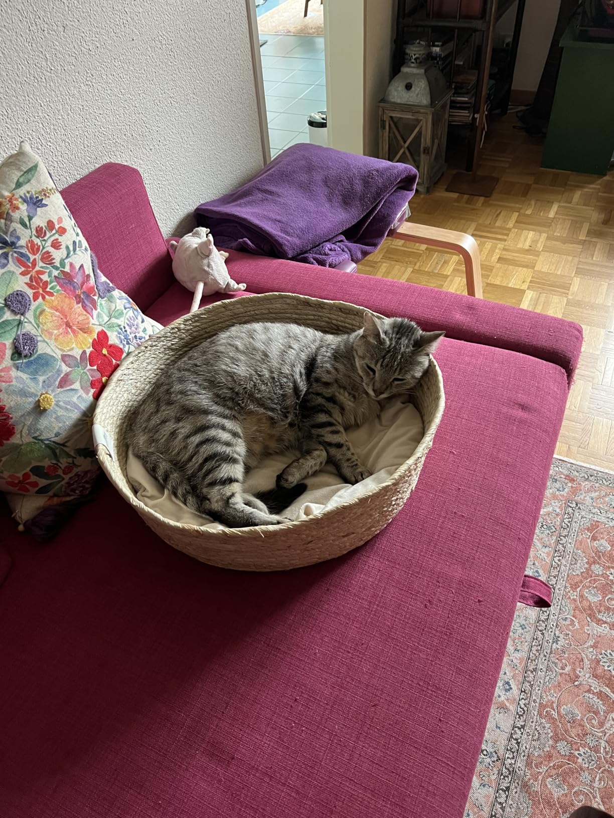 Passt ins Wohnzimmer