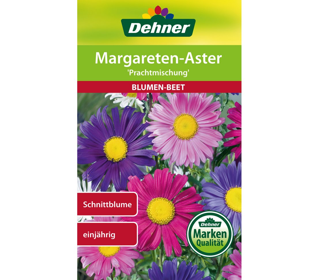 dehner-margareten-aster-prachtmischung-blumensamen-5er-pack-duft image 1