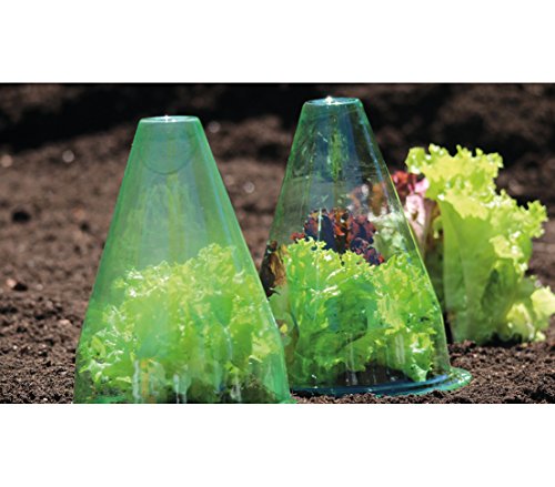 dehner-pflanzenhut-gr-n-kunststoff-10-st-ck-30-cm image 4