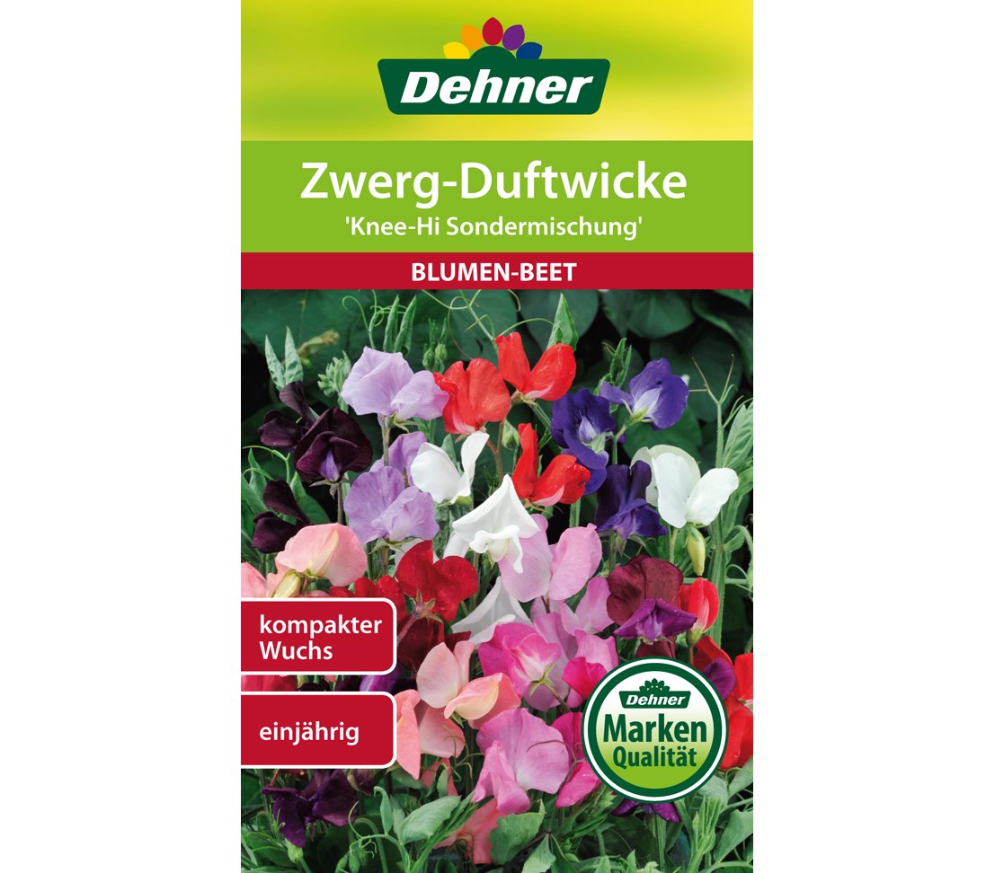 dehner-zwerg-duftwicke-knee-hi-blumensamen-5x4g-kompakt image 1