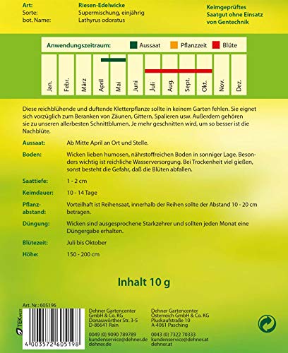 dehner-wild-nature-riesen-edelwicke-supermischung-blumensamen-5er-pack-duftend image 4
