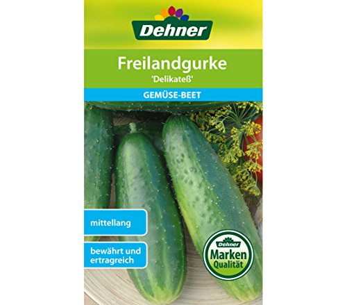 dehner-freilandgurke-delikatess-samen-5er-pack-ertragreich image 3