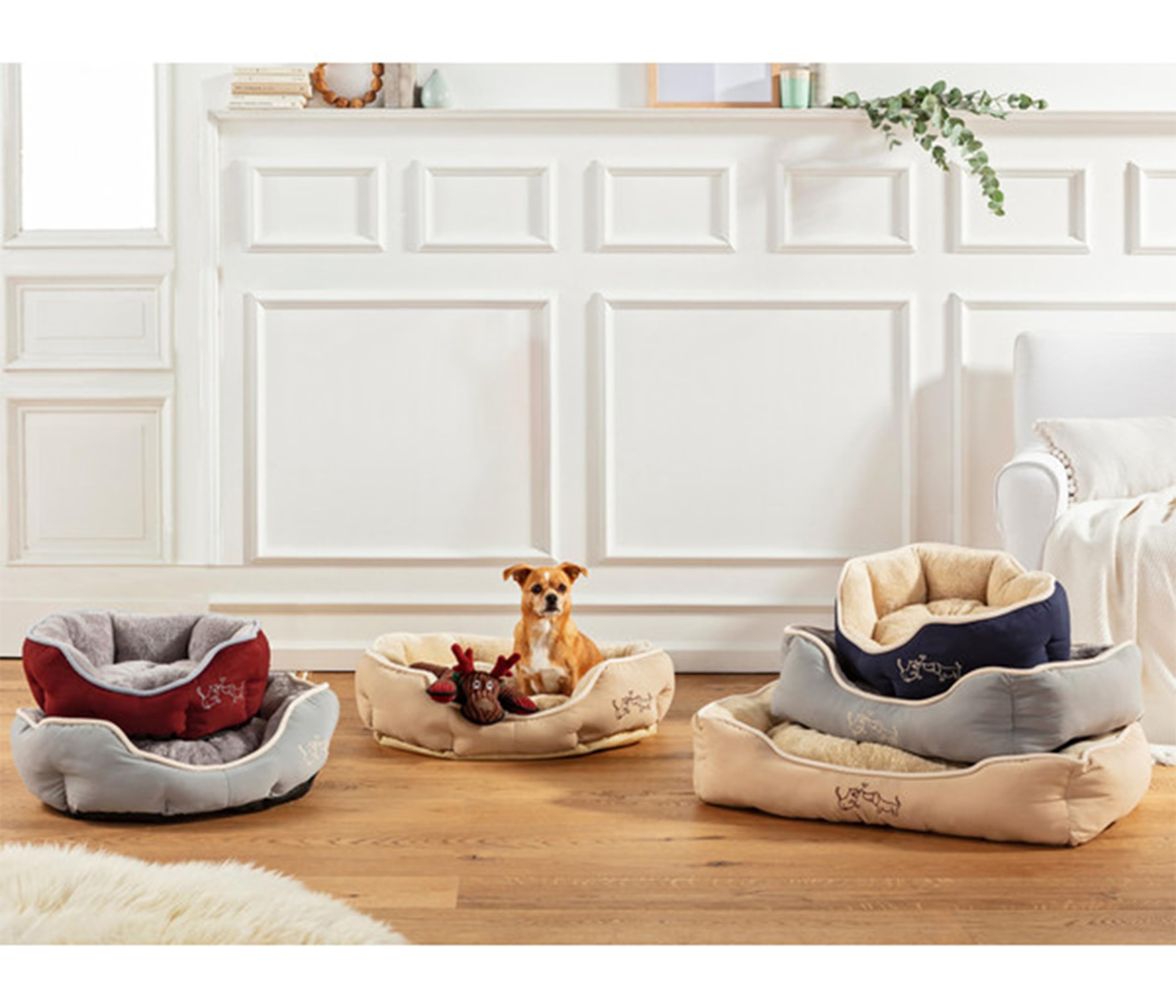 dehner-lieblinge-sammy-hundebett-beige-61x48x18-waschbar image 4