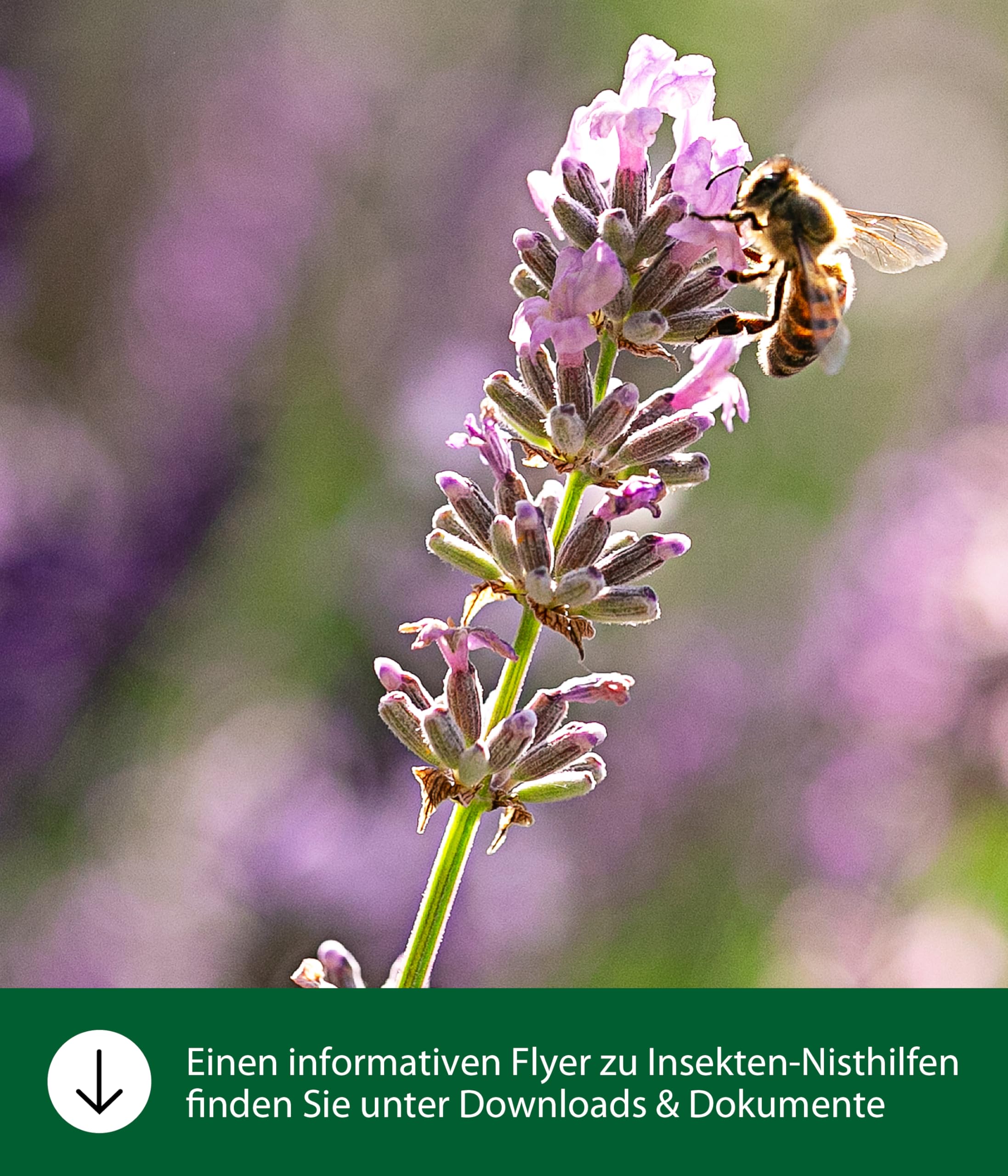 dehner-natura-hummel-nistkasten-tannenholz-38x34x28-cm image 2