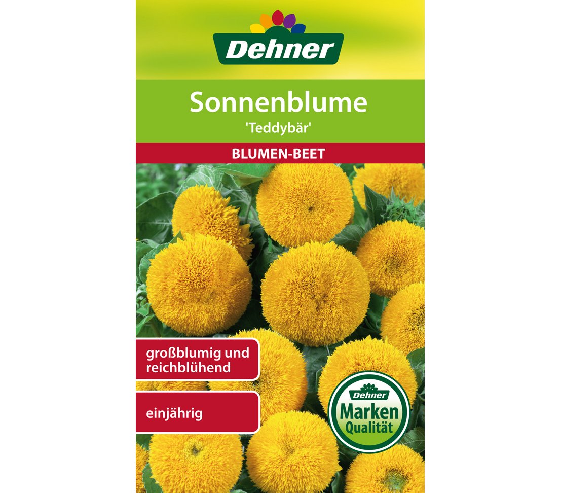 dehner-sonnenblume-teddyb-r-blumensamen-5x4-g-zwergsorte image 1