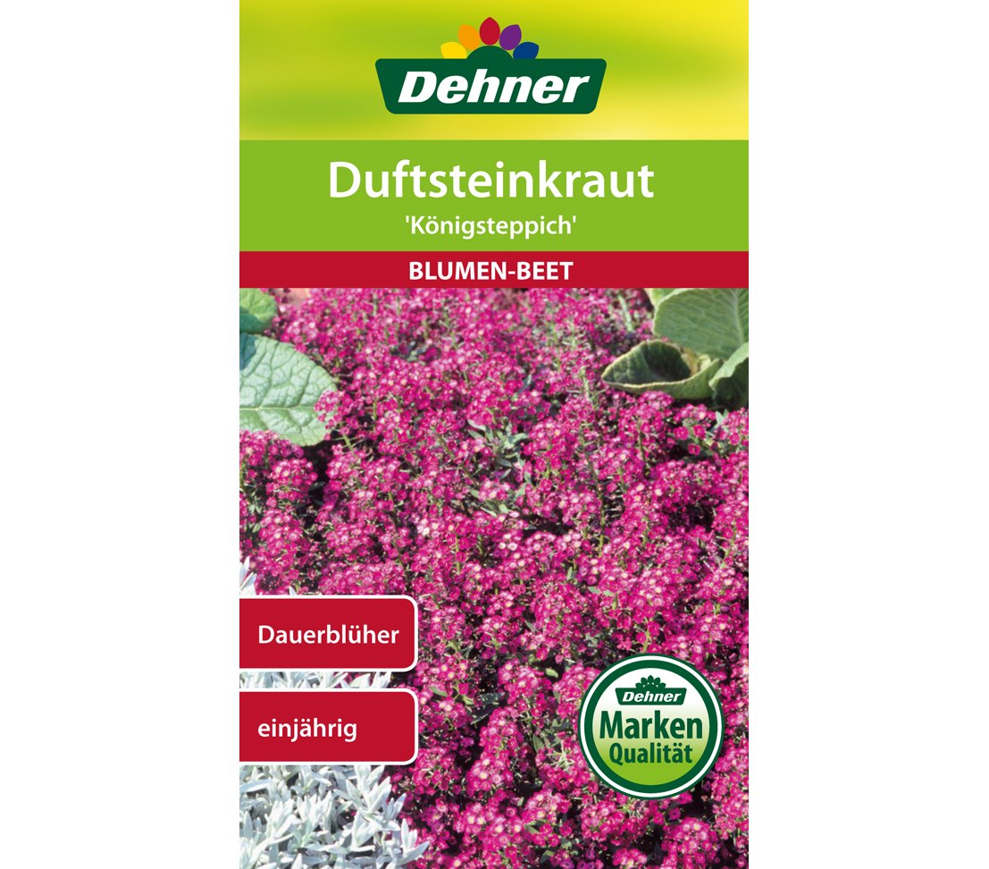 dehner-duftsteinkraut-k-nigsteppich-blumensamen-5er-pack-bunt image 1