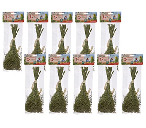 dehner-best-nature-vogelsnack-rispenhirse-10x50g-wellensittich image 6
