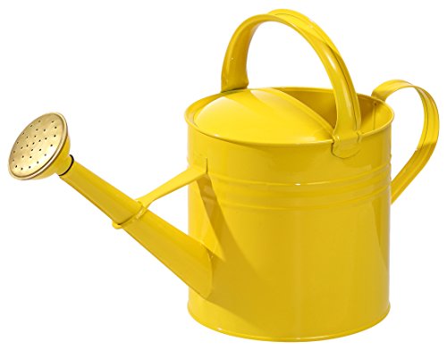dehner-gie-kanne-nostalgisch-zink-gelb-5-l image 2