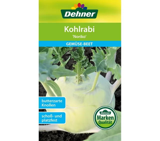 dehner-kohlrabi-noriko-gem-sesamen-2g-schossfest image 1