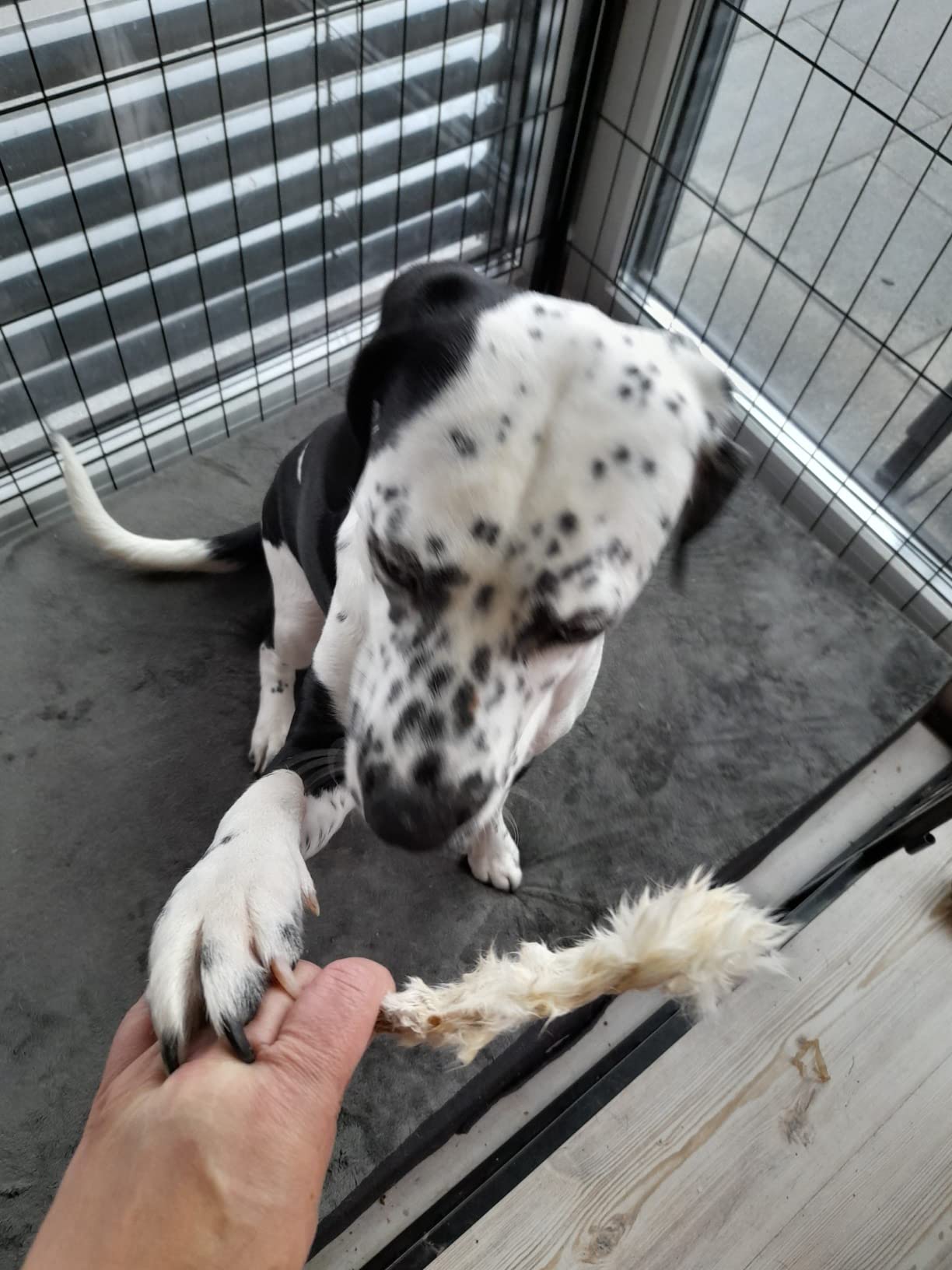 Natürlicher Snack
