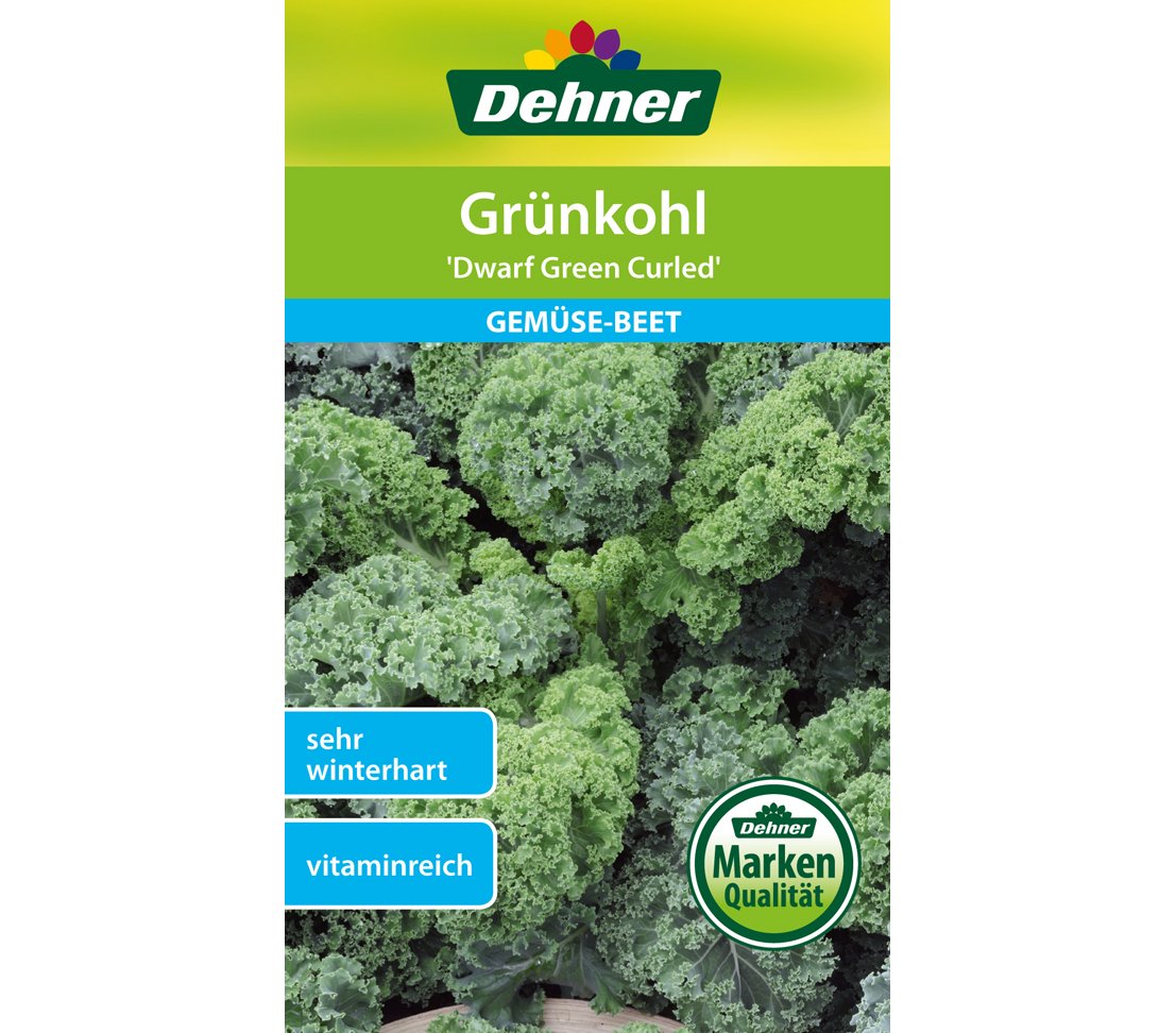 dehner-gr-nkohl-dwarf-green-curled-samen-2g-winterhart image 1