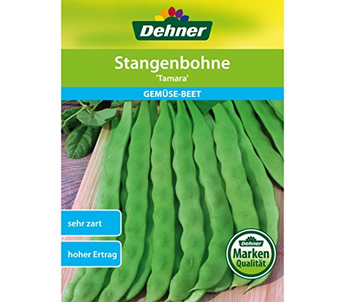 dehner-stangenbohne-tamara-bohnensamen-5er-pack-ertragreich image 3
