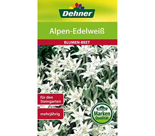 dehner-alpen-edelwei-blumensamen-5er-pack-mehrj-hrig image 4