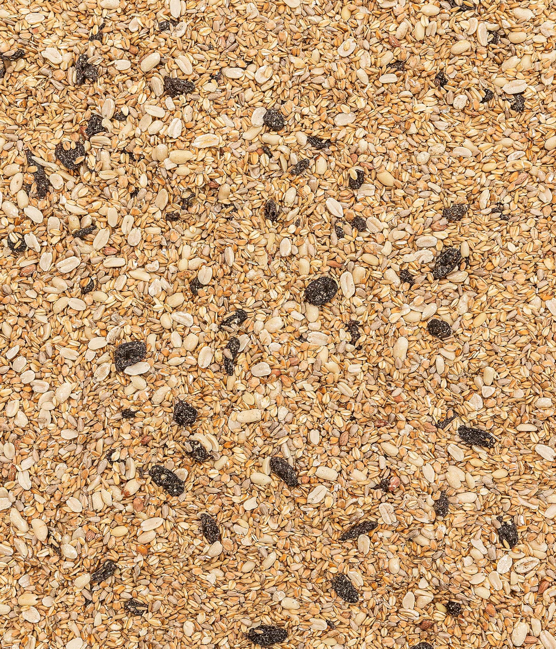 dehner-natura-premium-wildvogelfutter-schalenfrei-3-6-kg image 6