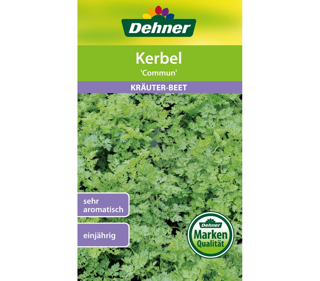 dehner-kerbel-commun-kr-utersaatgut-5er-pack-aromatisch image 1