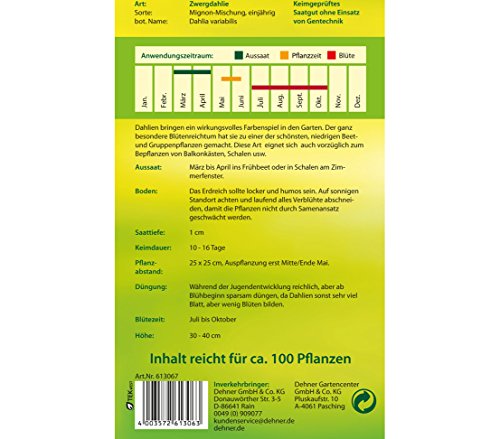 dehner-zwergdahlie-mignon-mischung-samen-5er-pack-einj-hrig image 4