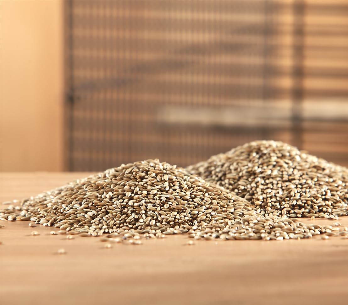 dehner-lieblinge-vogelfutter-kanariensaat-10x1-kg-proteinreich image 3
