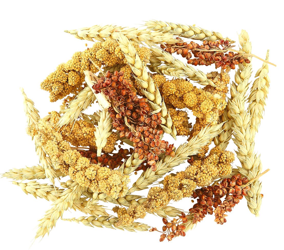 dehner-best-nature-nagersnack-getreide-hren-3x50-g image 3
