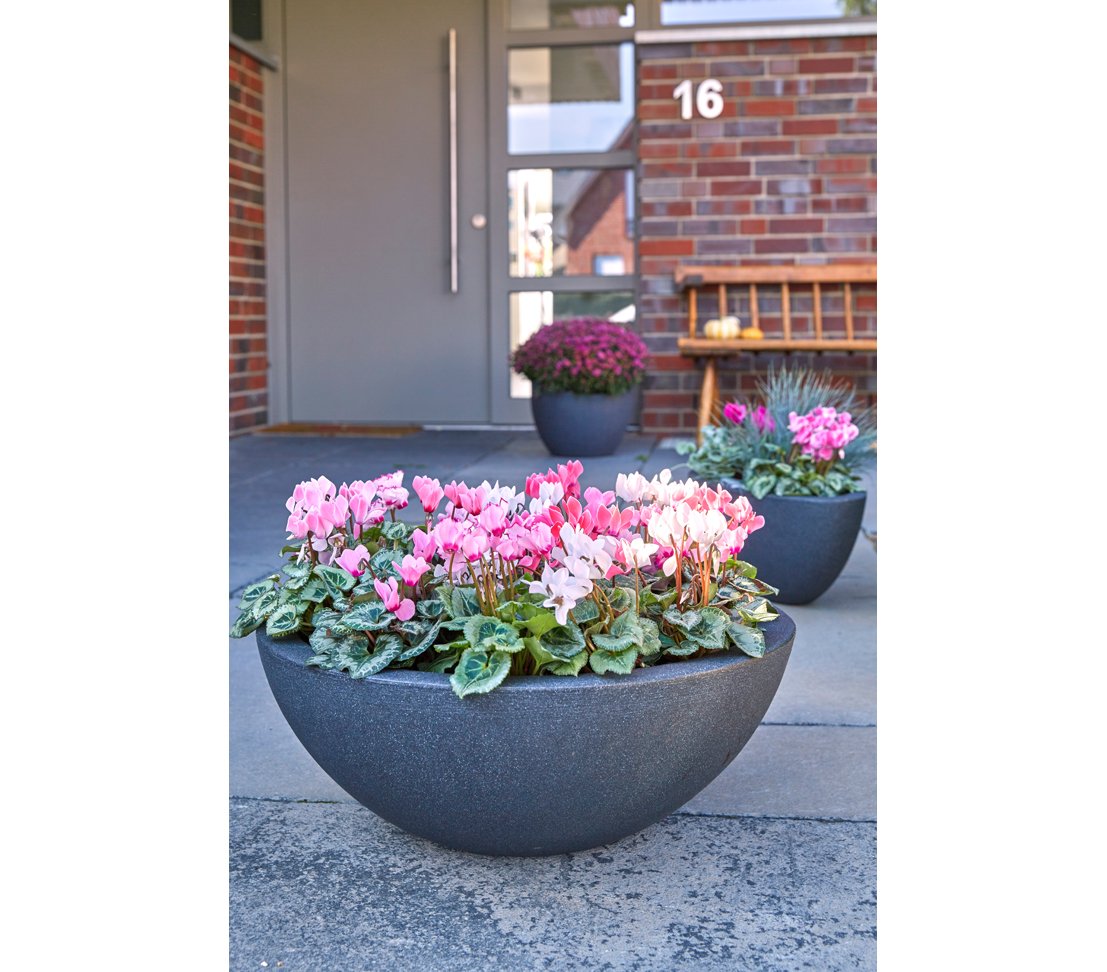 dehner-kugelschale-52-cm-pflanzschale-anthrazit-kunststoff image 5