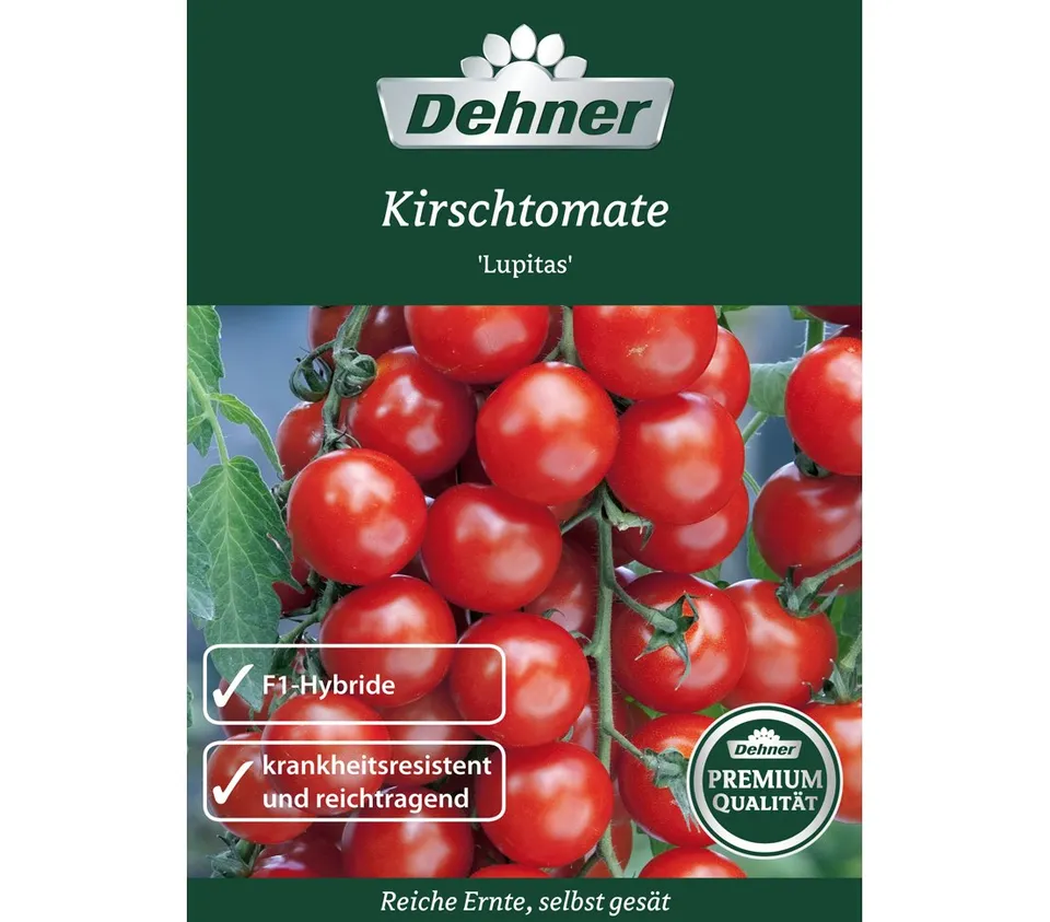 dehner-kirschtomate-lupitas-gem-sesamen-5er-pack-f1-ertragreich image 1
