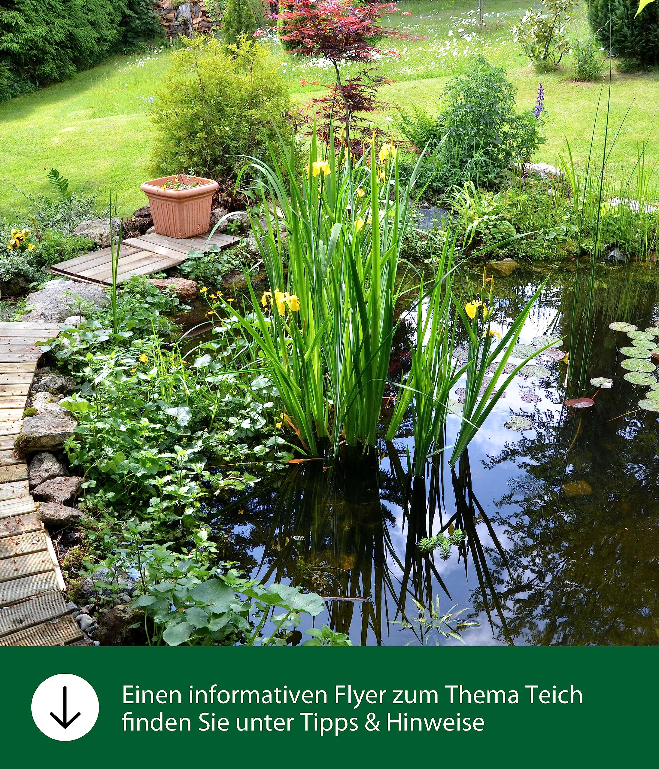 dehner-aqua-gartenteich-torf-10-l-teichpflege-f-r-4000-l-klares-wasser image 2