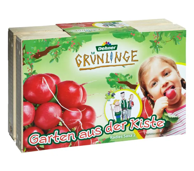 dehner-gr-nlinge-garten-aus-der-kiste-radieschen-set image 1