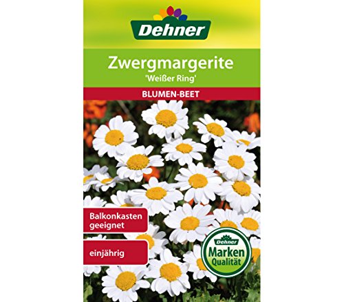 dehner-zwergmargerite-wei-er-ring-blumensamen-5er image 3