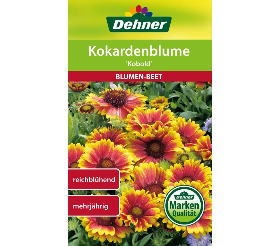 dehner-kokardenblume-kobold-blumensamen-5x3-g-mehrj-hrig image 1