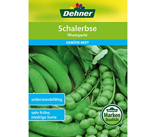 dehner-schalerbse-rheinperle-saatgut-5er-pack-fr-h-robust image 3