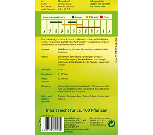 dehner-blumenkohl-erfurter-zwerg-gem-sesamen-1-g-robust image 4