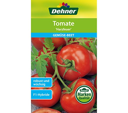 dehner-harzfeuer-tomate-samen-5er-pack-s-aromatisch image 3