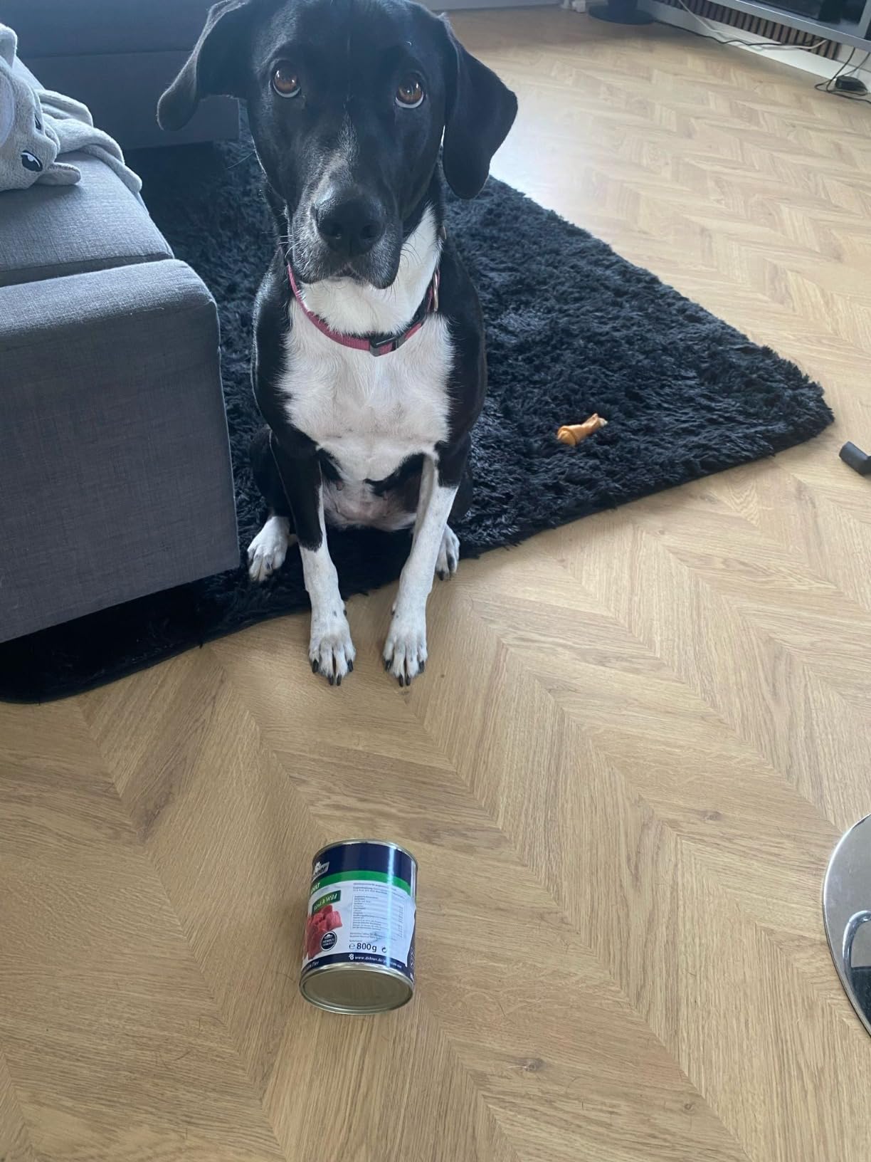 Wird gefressen