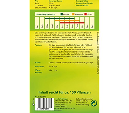 dehner-monatserdbeere-r-gen-saatgut-5er-pack-reichtragend image 4