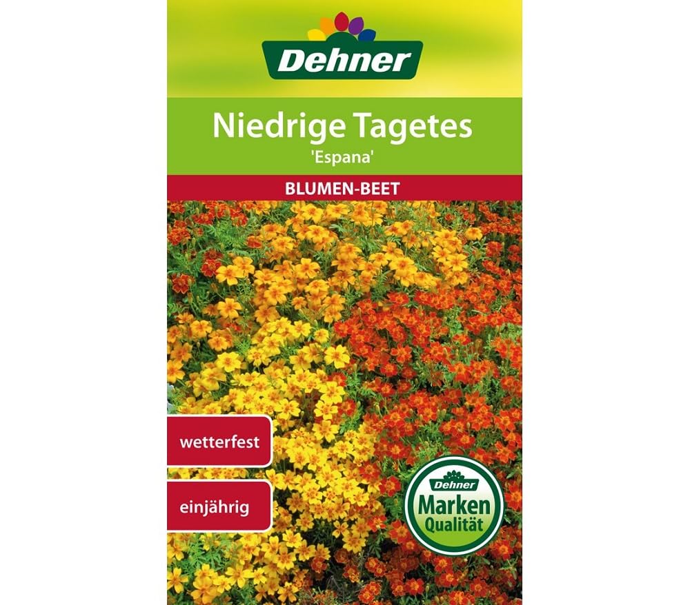 dehner-blumensamen-tagetes-espana-5er-pack-einj-hrig image 1