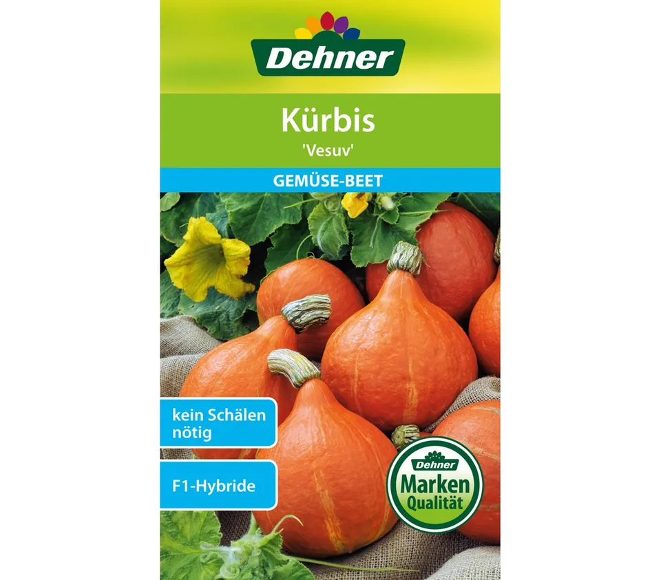 dehner-wild-nature-kuerbis-vesuv-saatgut-5er-pack-speisekuerbis image 1