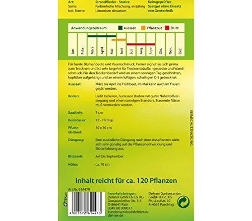 dehner-strandflieder-mischung-blumensamen-5er-pack image 4