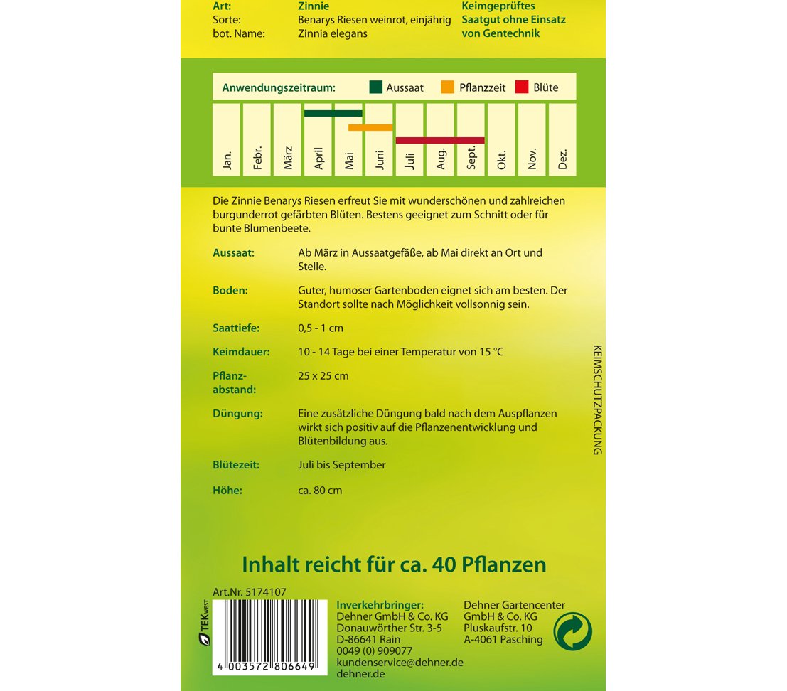 dehner-wild-nature-benarys-riesen-zinnie-samen-weinrot-5er-pack image 2