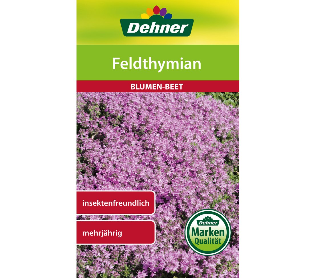dehner-feldthymian-saatgut-blumen-5er-pack-mehrj-hrig image 1