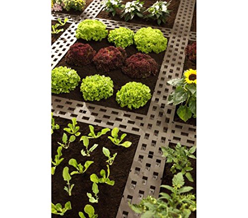 dehner-beetplatten-steckbar-5-st-ck-50x21-cm image 8