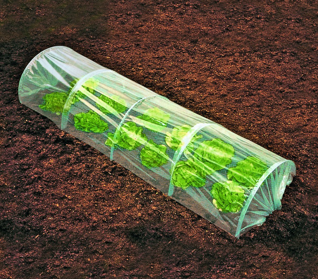 dehner-folientunnel-250x130-cm-fr-hbeet-polyethylen image 2