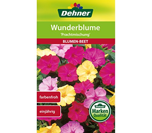 dehner-wunderblume-prachtmischung-blumensamen-5er-pack image 3