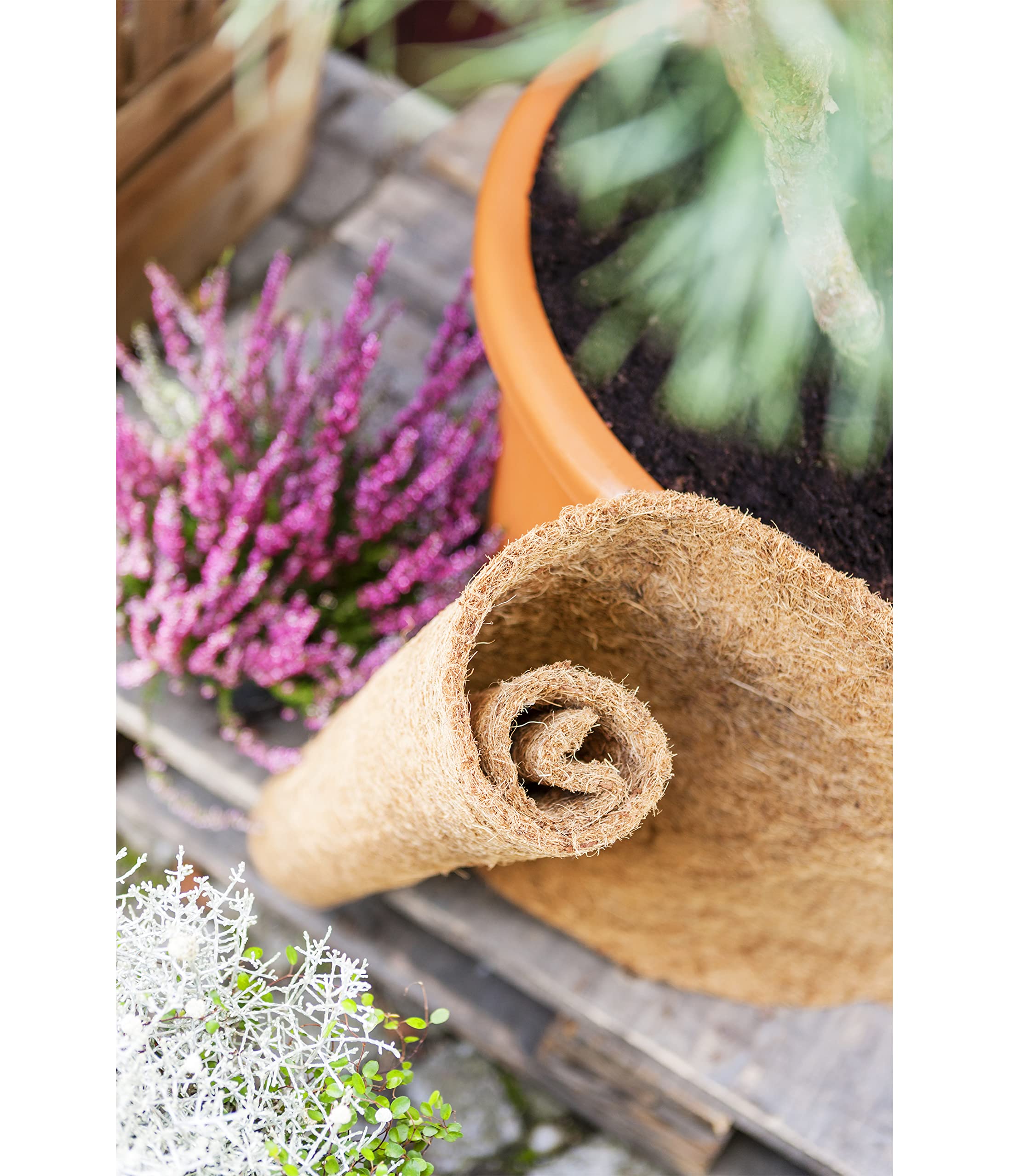 dehner-winterschutz-matte-kokosmatte-150x50-cm-braun image 3