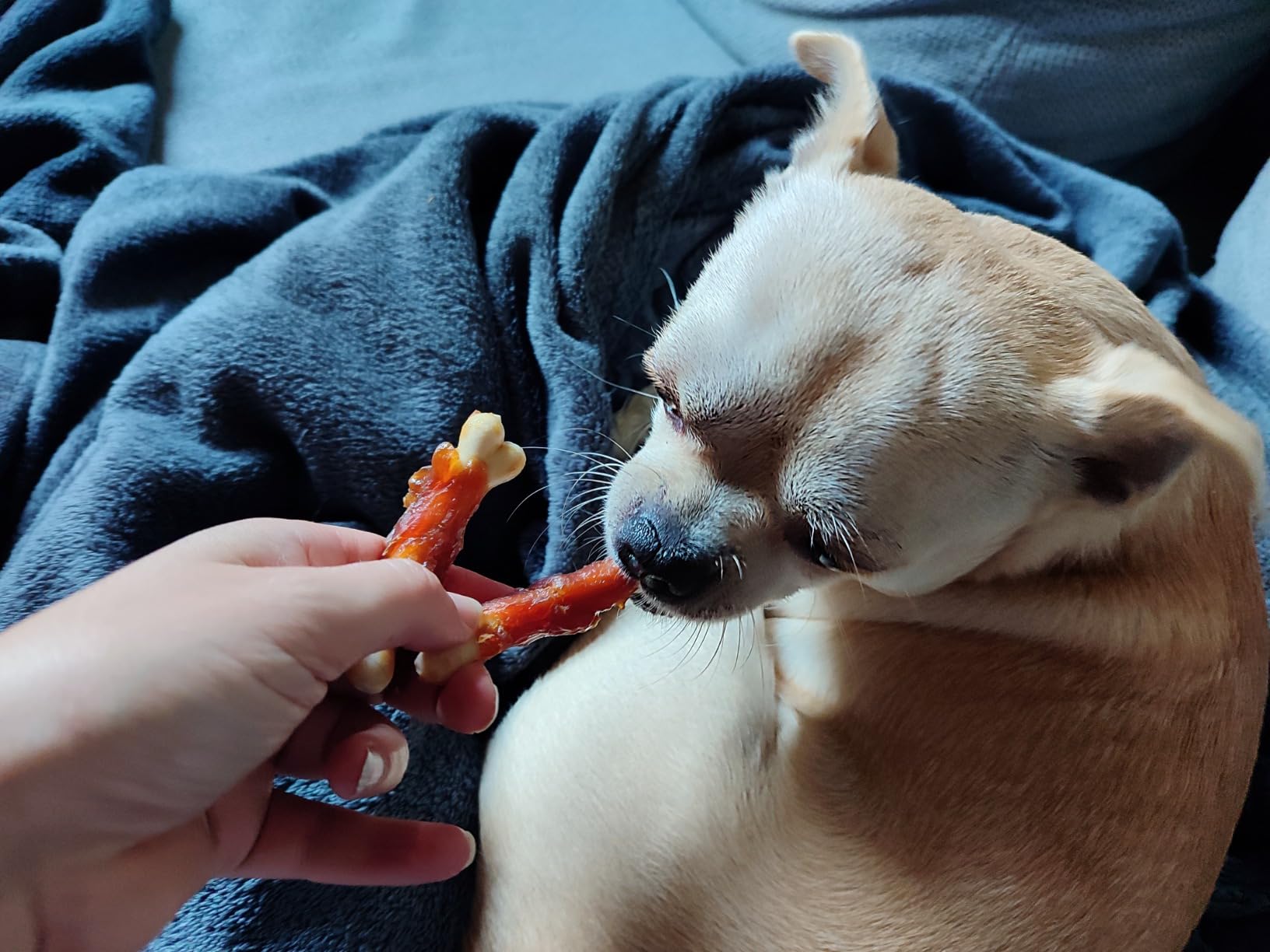 Lieblingssnack