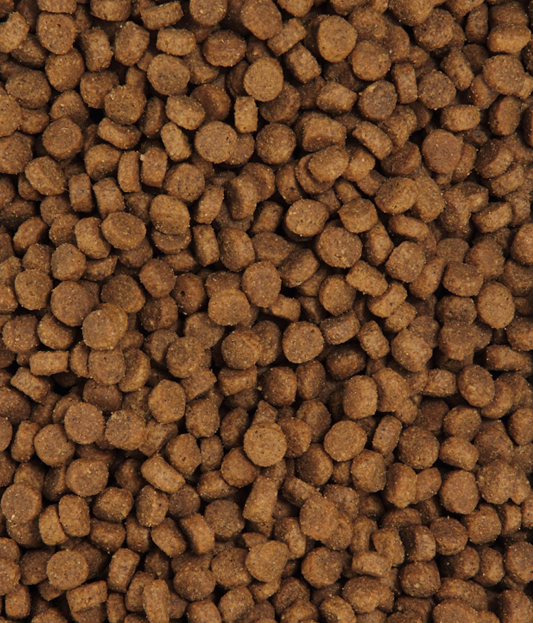 dehner-premium-katzenfutter-forelle-2-kg-getreidefrei-adult image 5