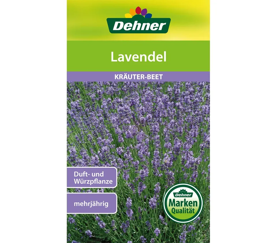 dehner-lavendel-lavandula-kr-utersamen-1g-mehrj-hrig-duft image 1
