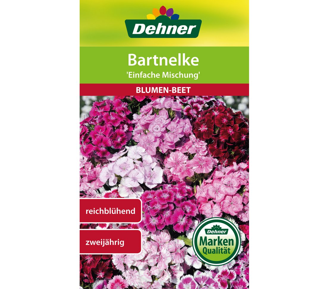 dehner-bartnelke-einfache-mischung-blumensamen-5x1-3-g image 1