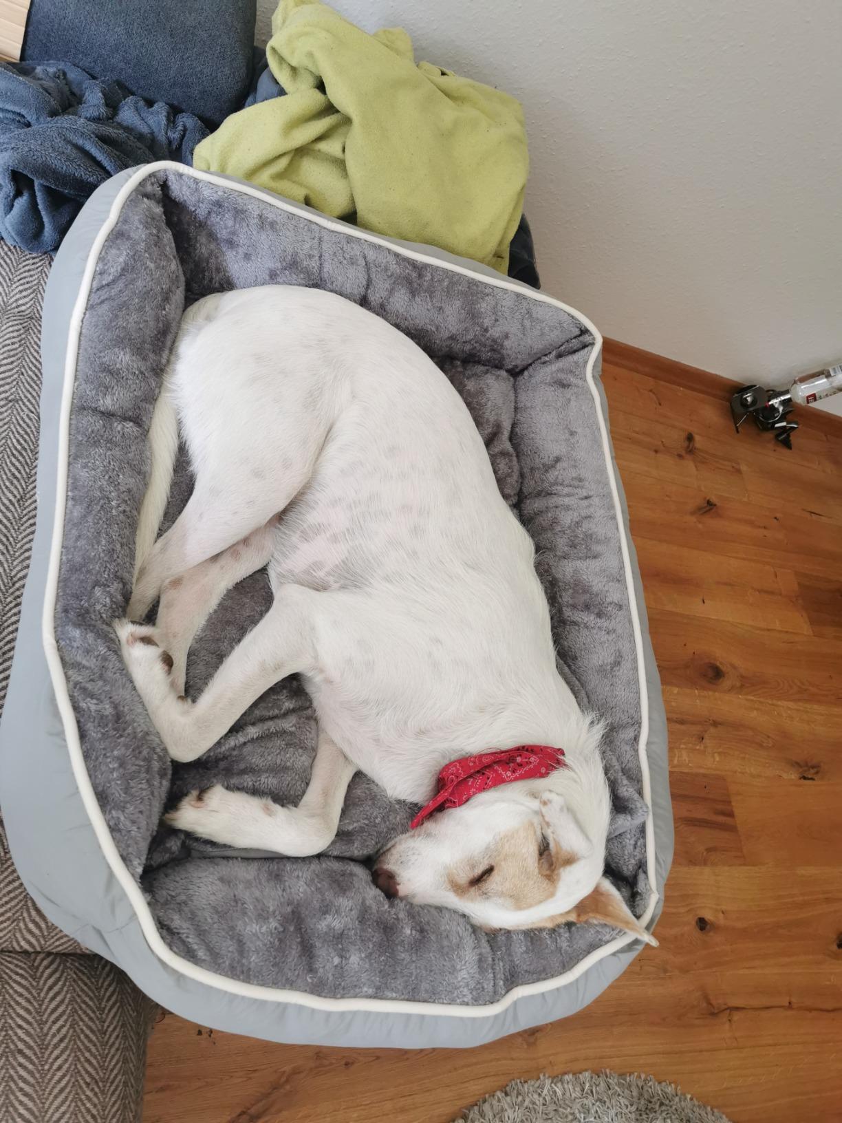 Passt ins Wohnzimmer