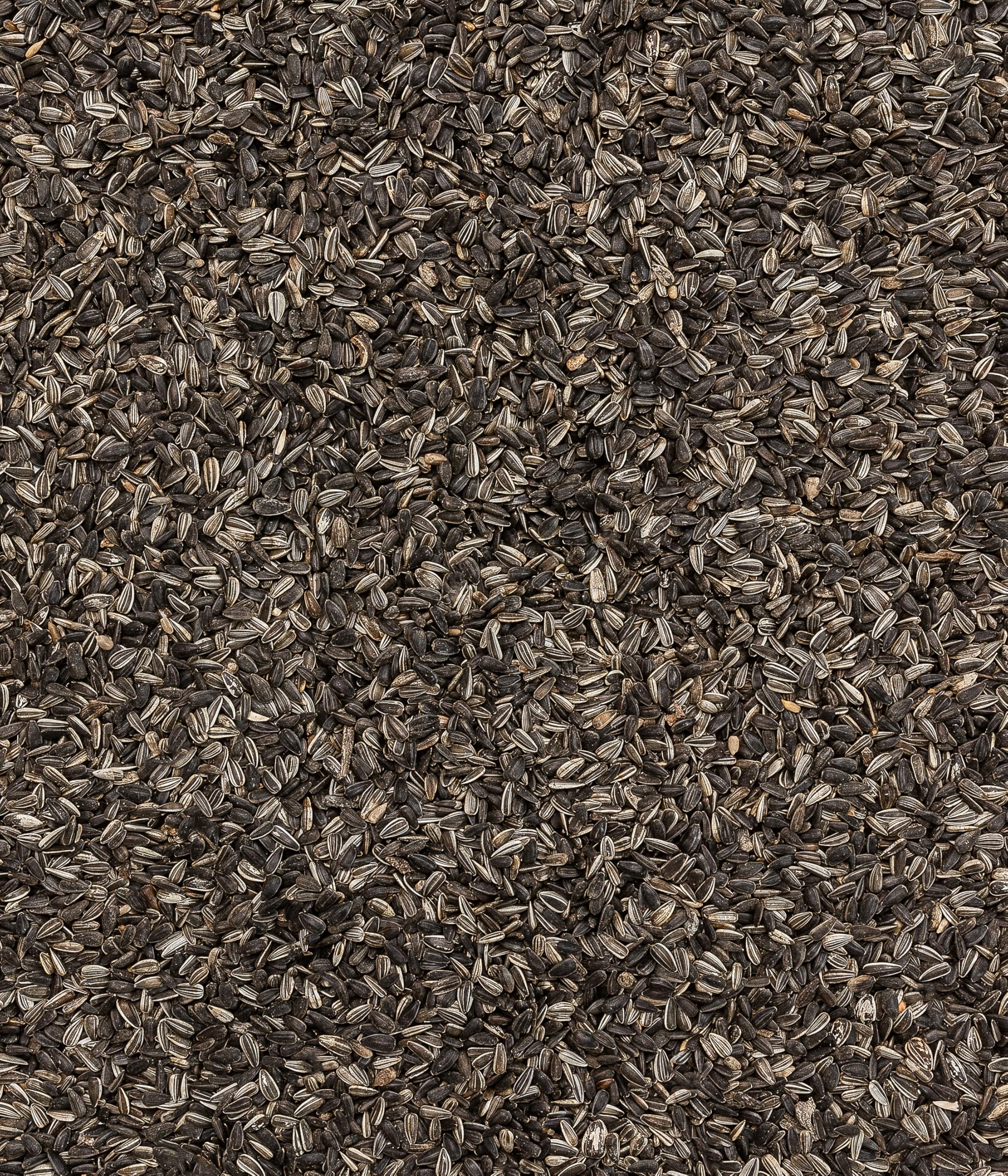 dehner-natura-wildvogelfutter-sonnenblumenkerne-2-2-kg image 7